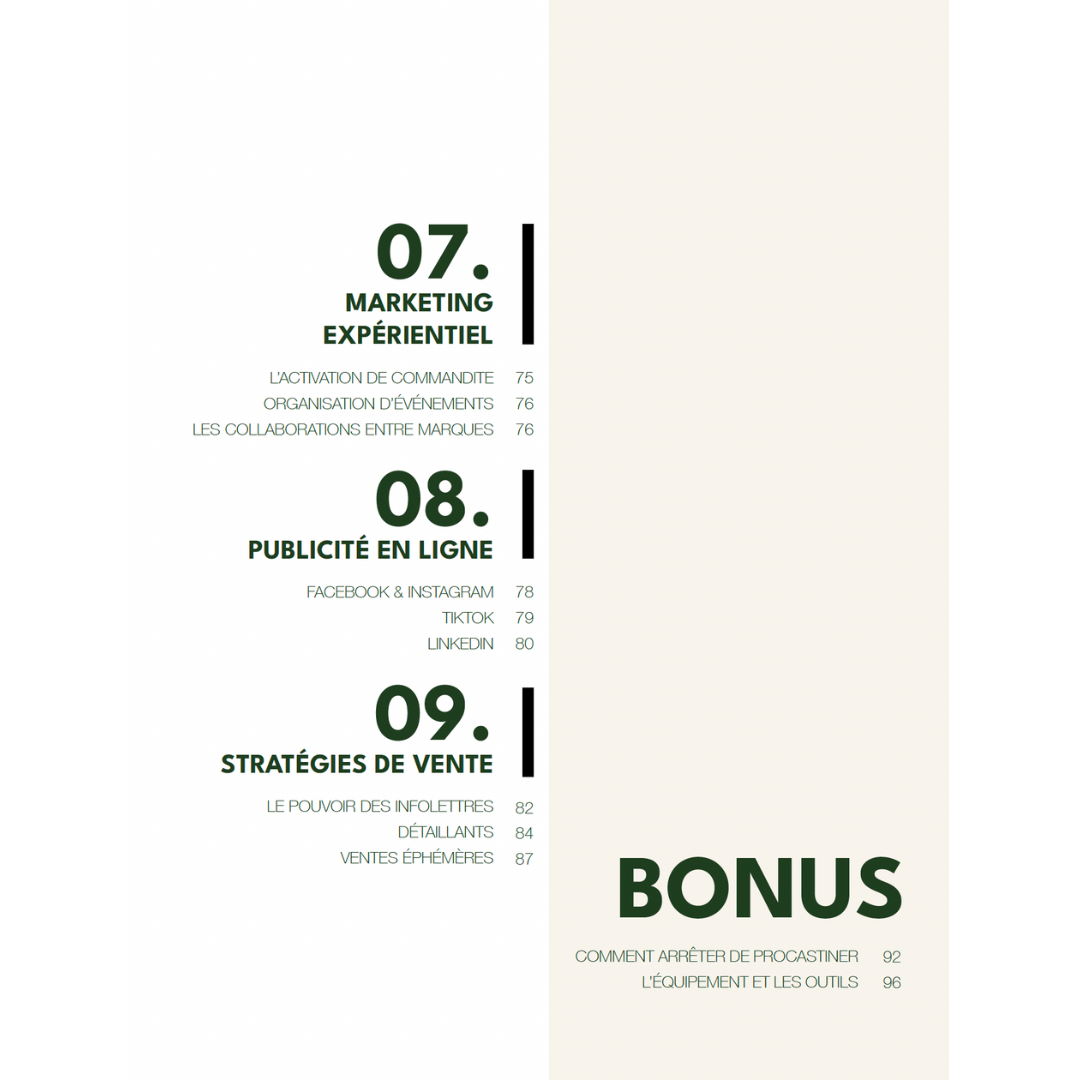 Ebook entrepreneurs